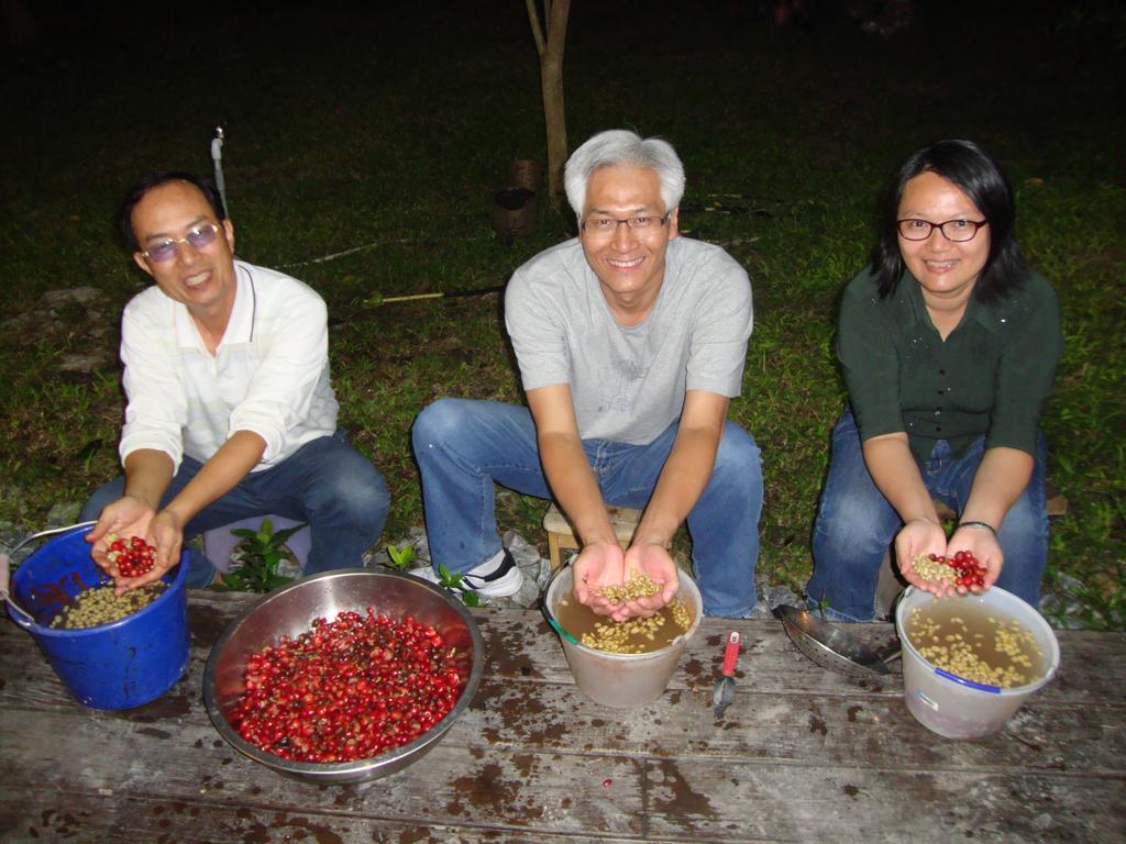 Taroko Sialin Coffee Farm Homestay Xiulin Eksteriør billede