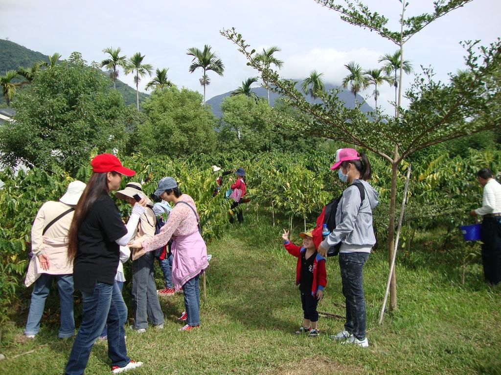 Taroko Sialin Coffee Farm Homestay Xiulin Eksteriør billede