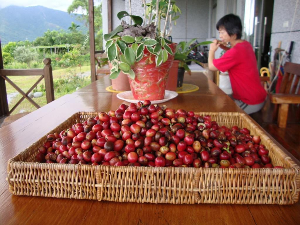 Taroko Sialin Coffee Farm Homestay Xiulin Eksteriør billede