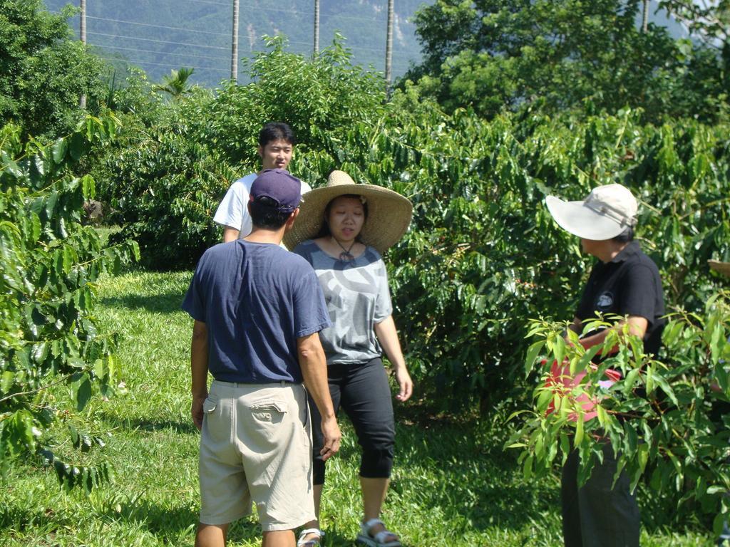 Taroko Sialin Coffee Farm Homestay Xiulin Eksteriør billede